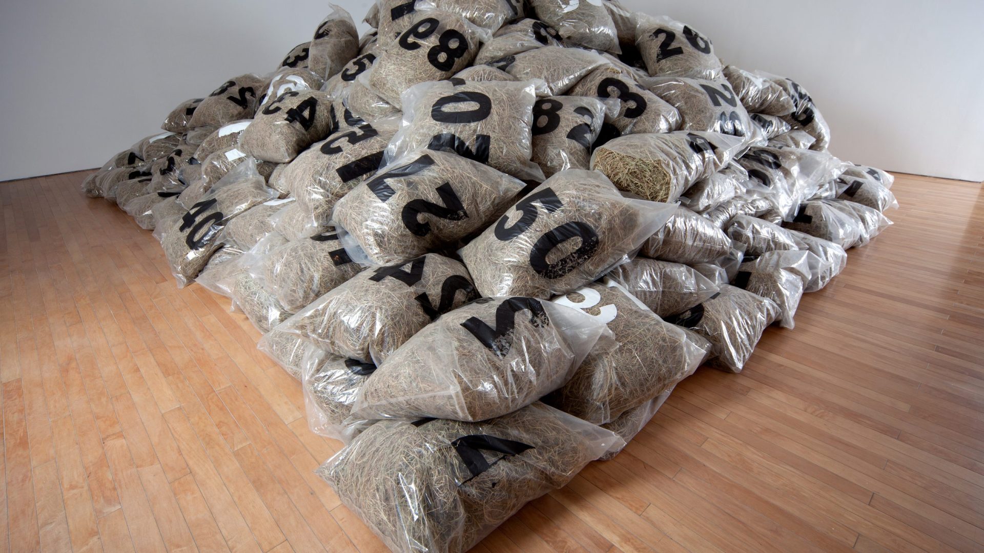 Figura 1. Bernardo Salcedo (1939-2007). Hectárea de heno, 1970. Heno y bolsas de polietileno. Dimensiones variables. La fotografía corresponde a la muestra que se realizó en el MAMU, 2019.