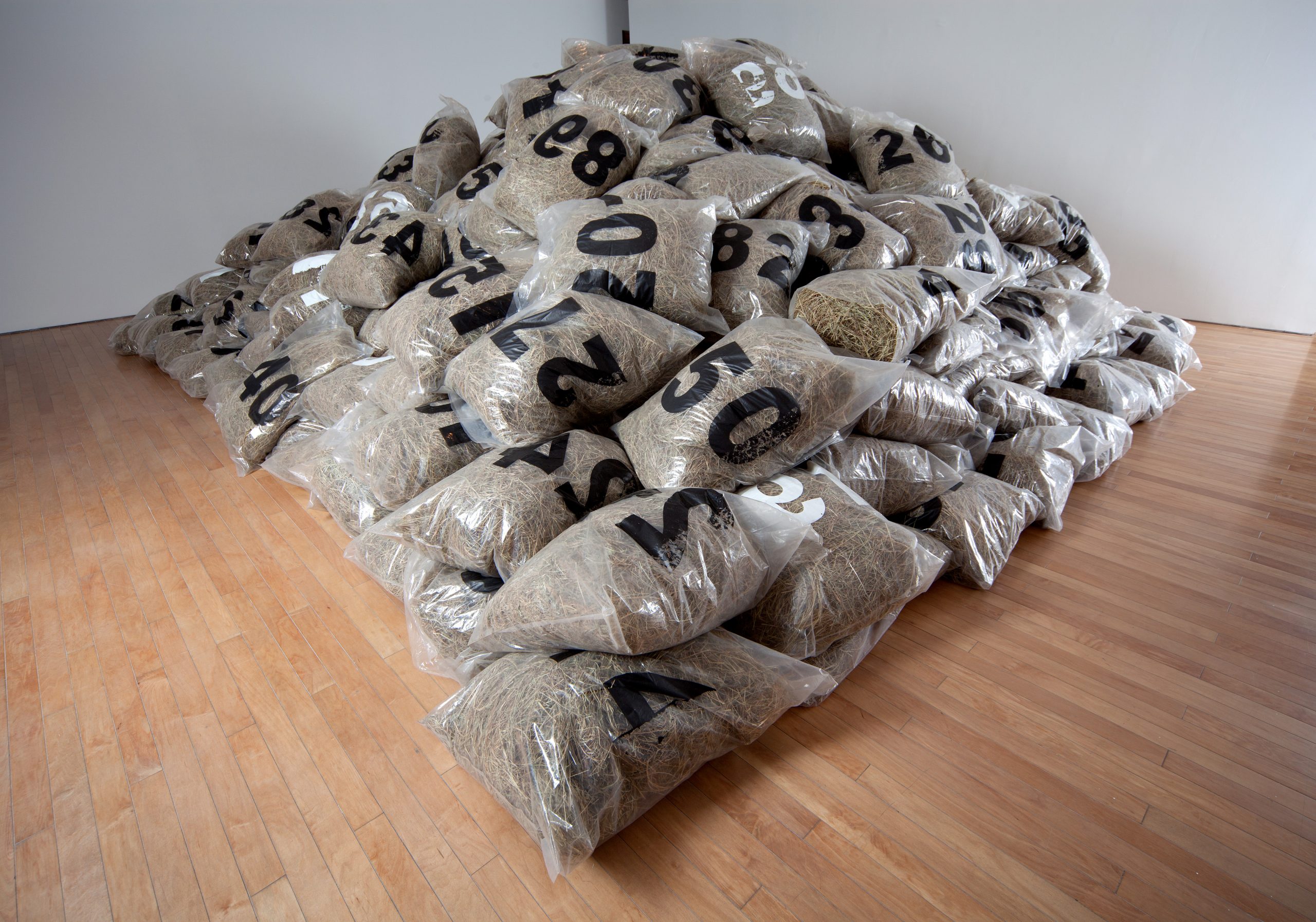 Heno y plástico: construcción del paisaje en Bernardo Salcedo