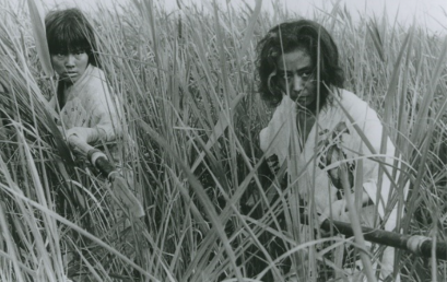 La ocupación y la segunda guerra mundial: la corporalidad femenina vista desde un medio abyecto para enfrentarse a las consecuencias de la guerra