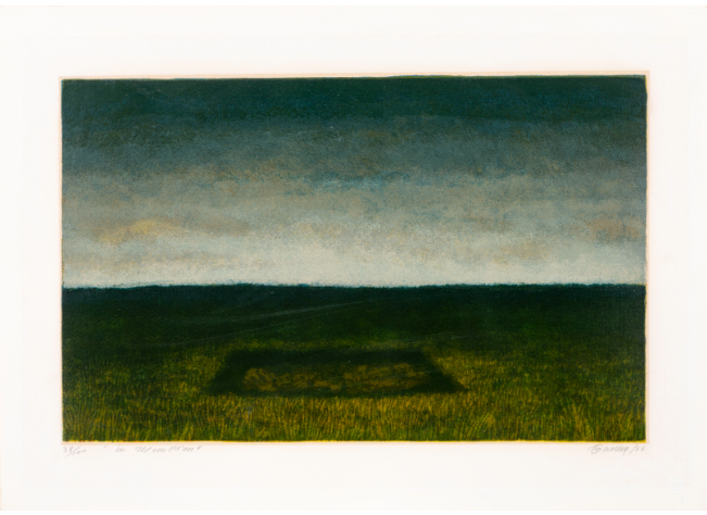 Violencia, naturaleza y paisaje en In memoriam de Antonio Barrera: un análisis curatorial y paratextual de la colección de arte privada de Bancolombia Violencia, naturaleza y paisaje en In memoriam de Antonio Barrera: un análisis curatorial y paratextual de la colección de arte privada de Bancolombia